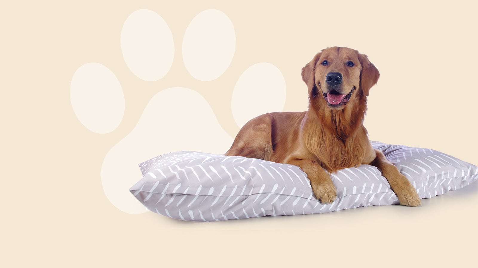 Lits pour chiens Winston and friends