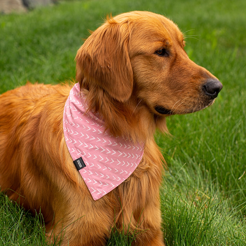 Bandana