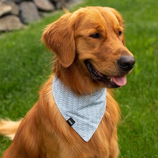 Bandana