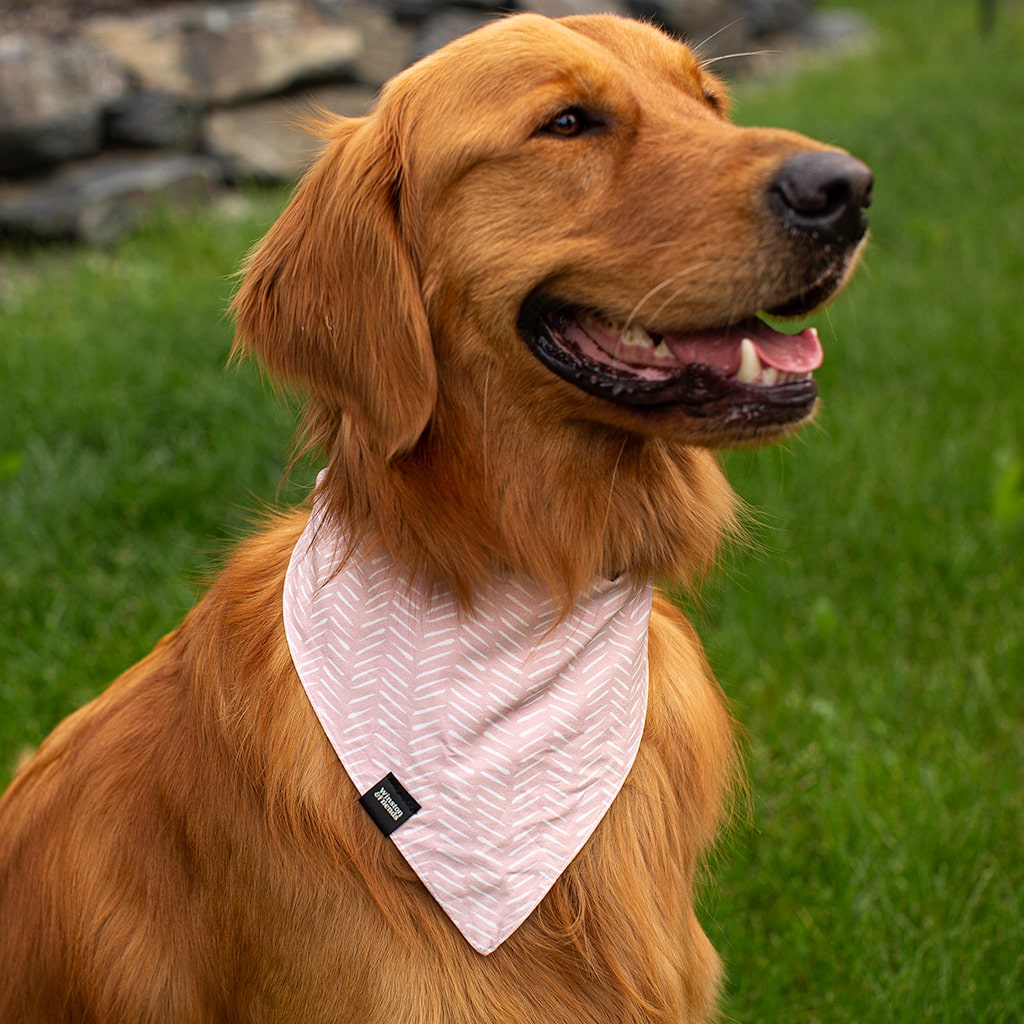 Bandana